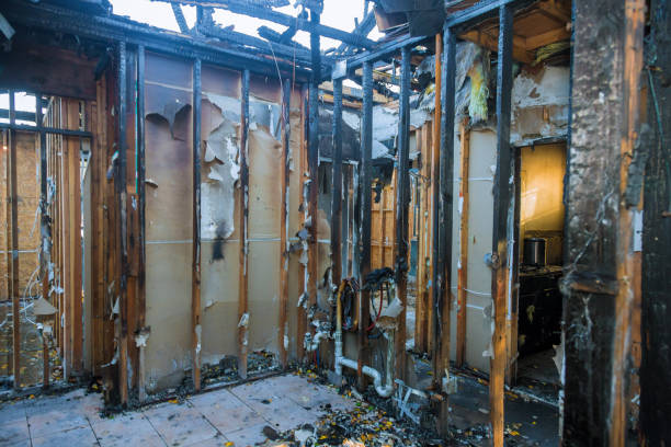 Professional Fire Damage Assessment technician working in Rossmoor, CA